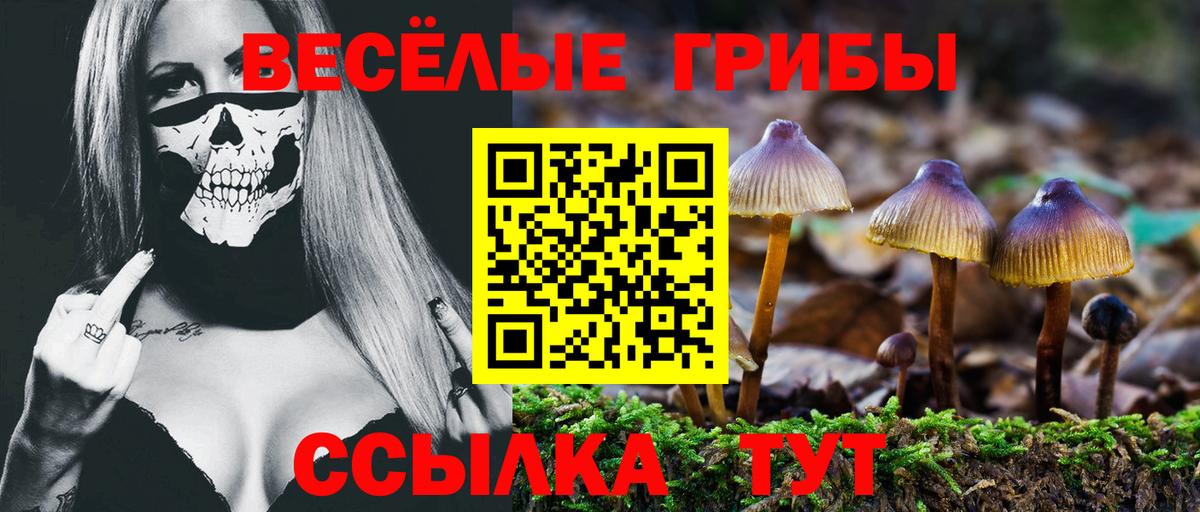Евпатория  Галлюциногенные грибы GOLDEN TEACHER  Вход с VPN 