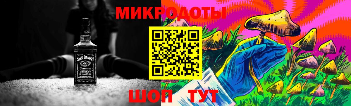 Псилоцибиновые грибы Psilocybe Евпатория